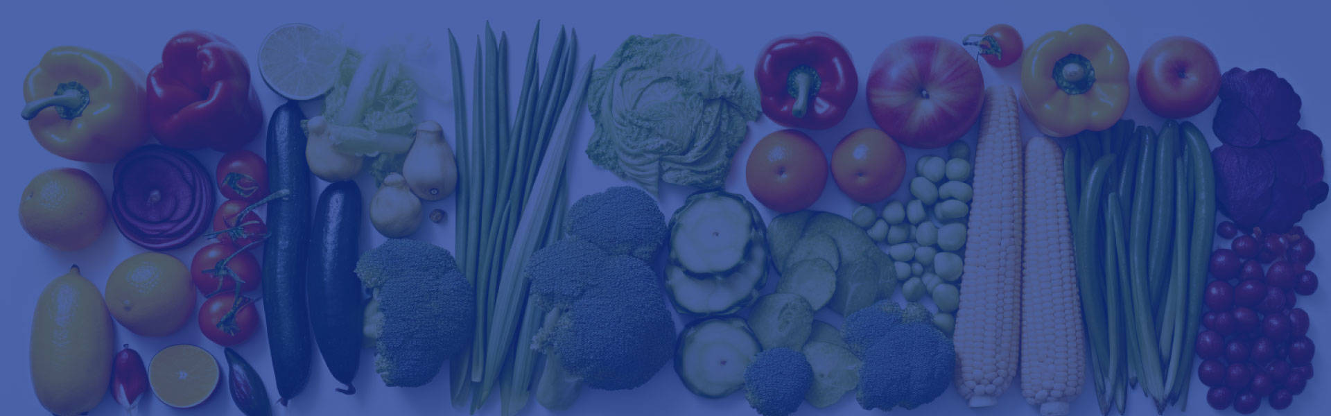 新聞動(dòng)態(tài)