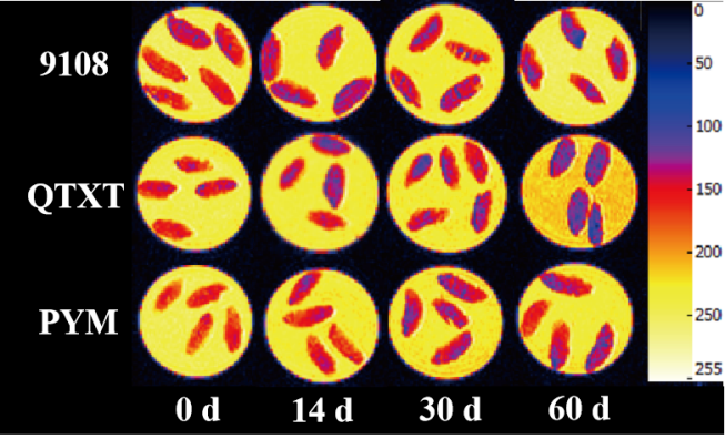 “紐邁杯”江南大學(xué)優(yōu)秀案例解析|不同冷凍儲藏期速凍米飯水分分布變化規(guī)律探究